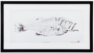 Largemouth Bass (Framed)