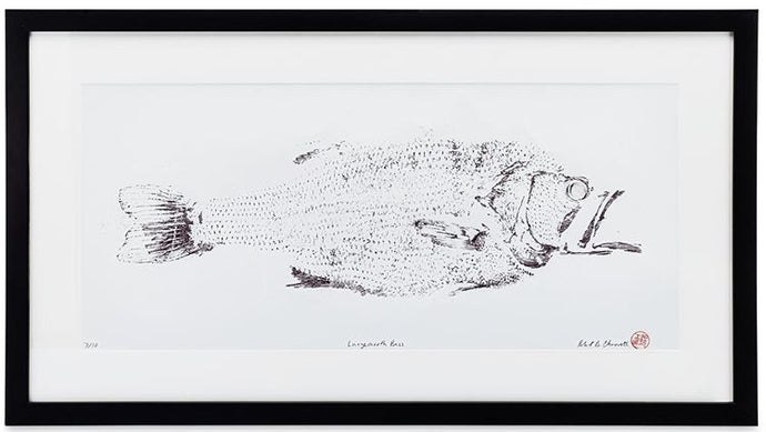 Largemouth Bass (Framed)