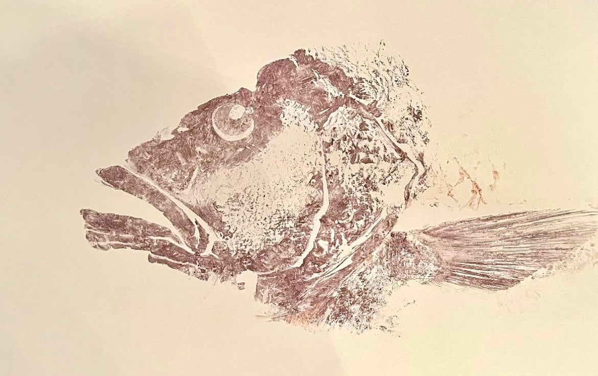 Fish Print Using Ink PaperFin - Fish Printing Kits