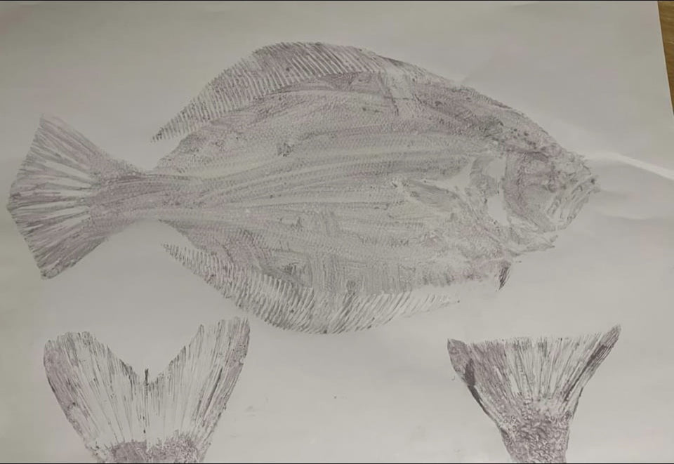 PaperFin - Fish Printing Kits