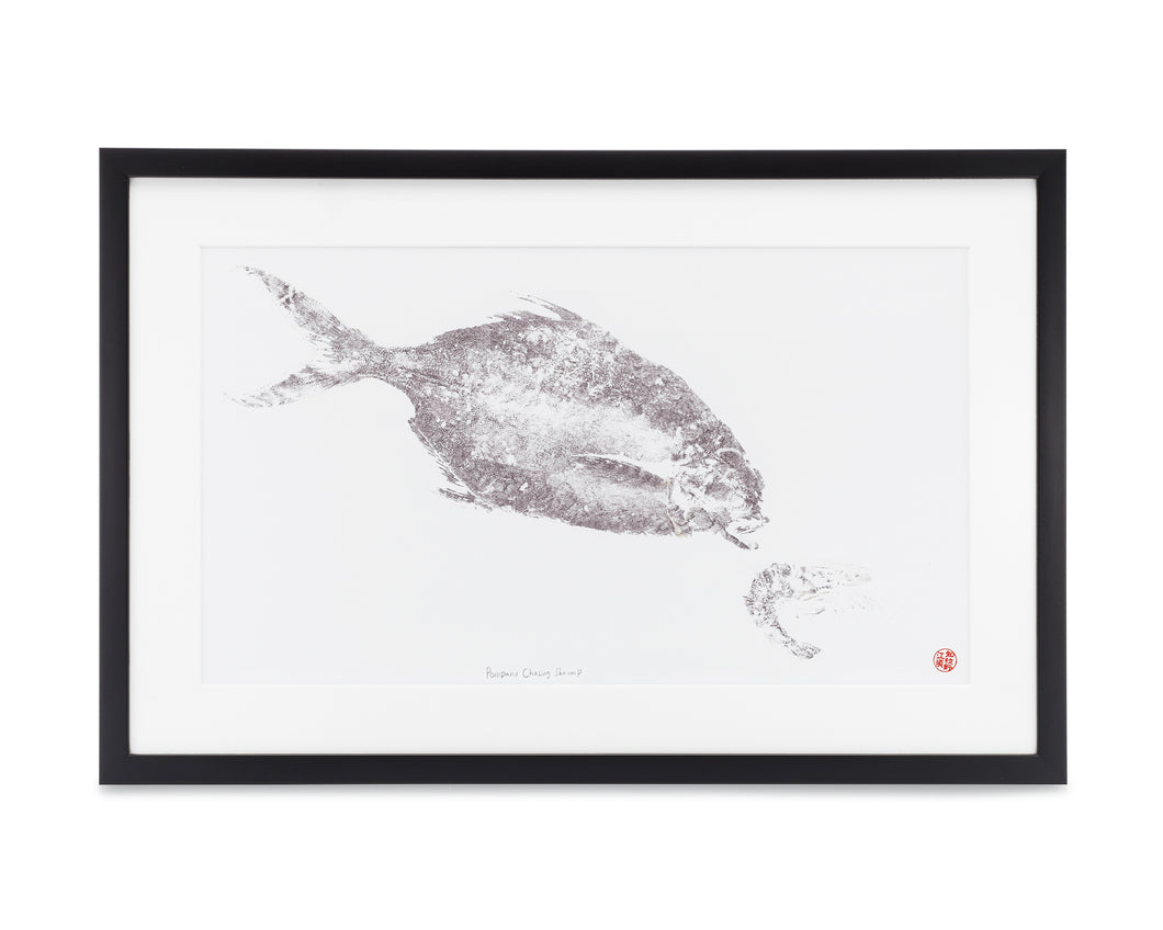 Pompano Chasing Shrimp (Framed)